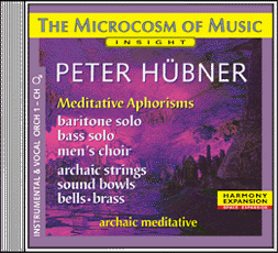 Peter Hübner - The Microcosm of Music