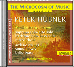 Peter Hübner - The Microcosm of Music